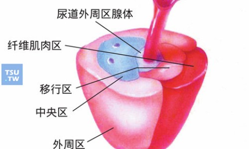 参志胶囊哪里有卖-参志胶囊价格网—知名的参志胶囊说明书网站,分享参志胶囊价格一览表知识